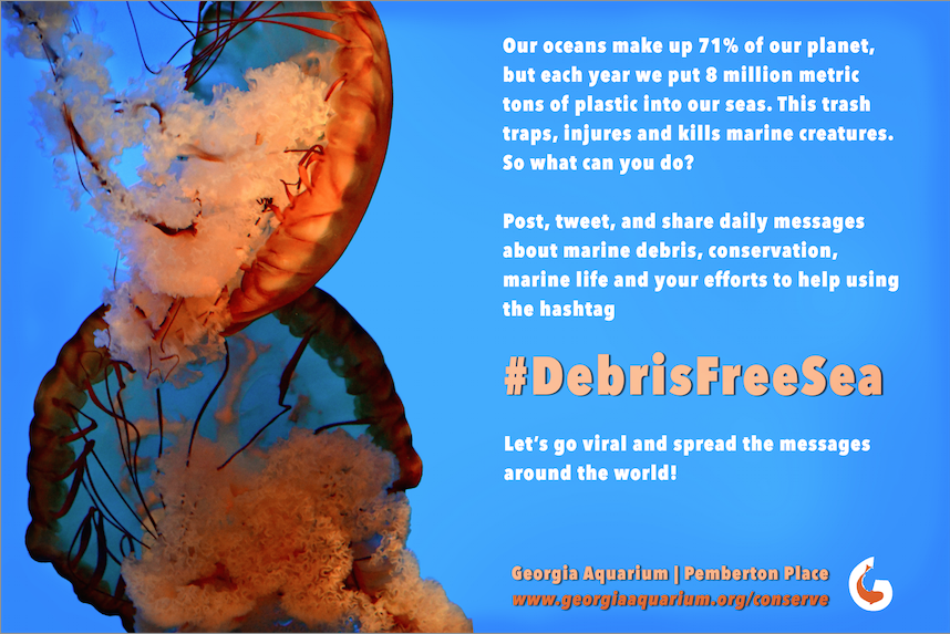 During one of my favorite shoots of the fall, Molly and Ian snuggle up at a local swimming hole for their three year anniversary session